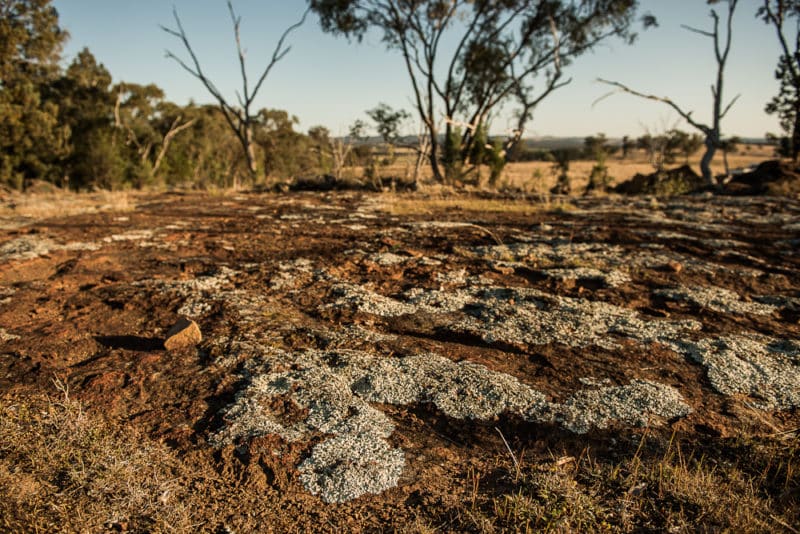 rare earths project