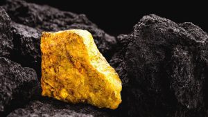 Harrier Uranium Project