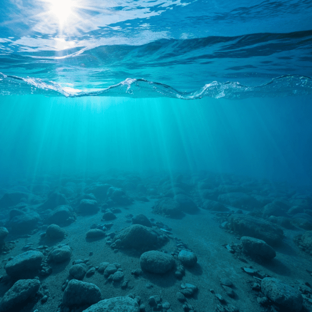 Deep Sea Mining